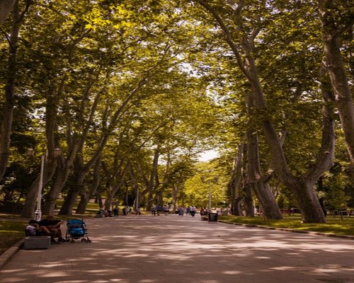 People walking and resting in a sunny urban park with large green trees